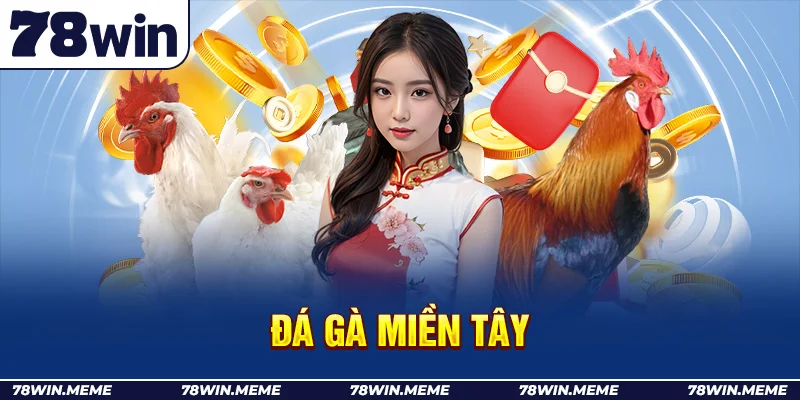 Đá gà miền tây